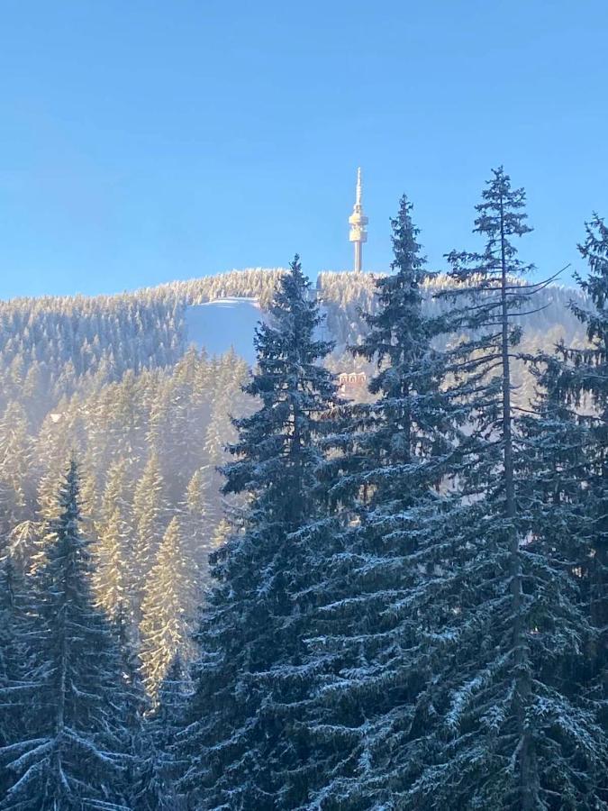 بامبوروفو Nevada Aparthotel المظهر الخارجي الصورة